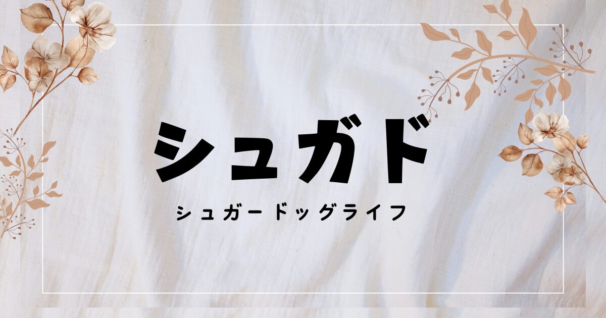 『シュガド』実写ドラマ化！キャストや相関図・配信は？